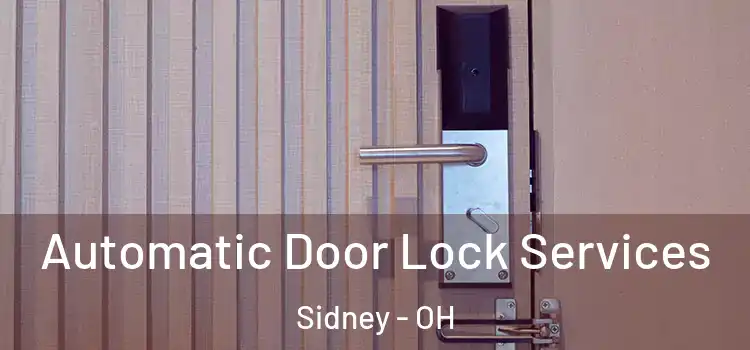 Automatic Door Lock Services Sidney - OH