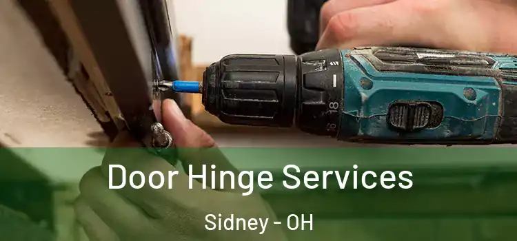 Door Hinge Services Sidney - OH