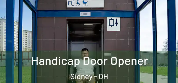  Handicap Door Opener Sidney - OH