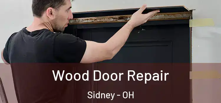 Wood Door Repair Sidney - OH